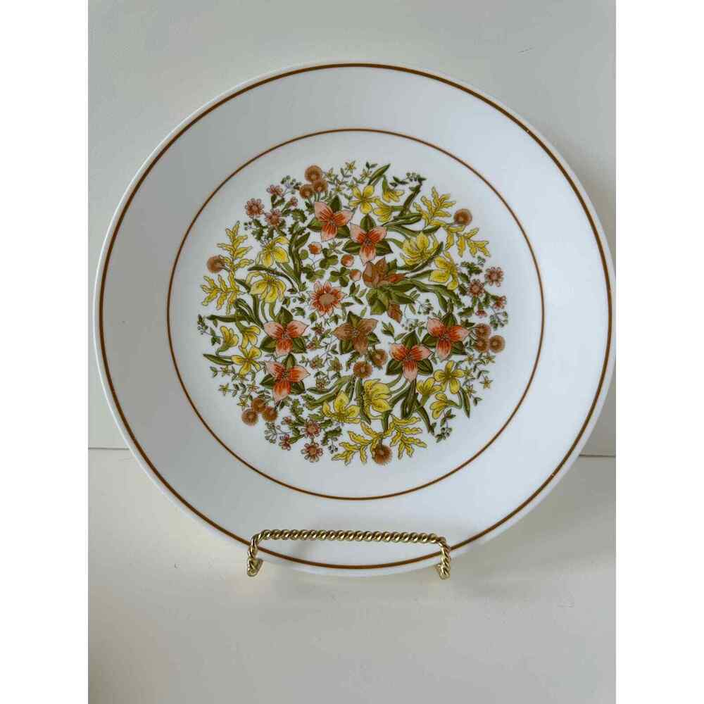 Vintage Corelle Indian Summer Dinner plate, 10.25 inch diameter, One Plate